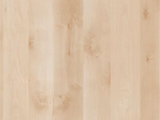 REHAU кромка ПВХ 2х35 мм TREND decor Береза северная 1168W (стоп-лист)