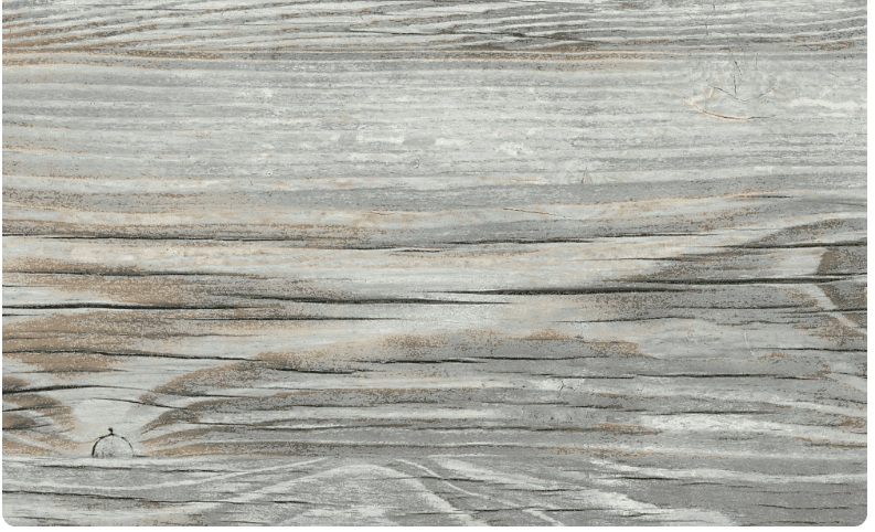 СЛОТЕКС кромка с клеем 38*3000 мм Painted Pine 8124 (заказная)