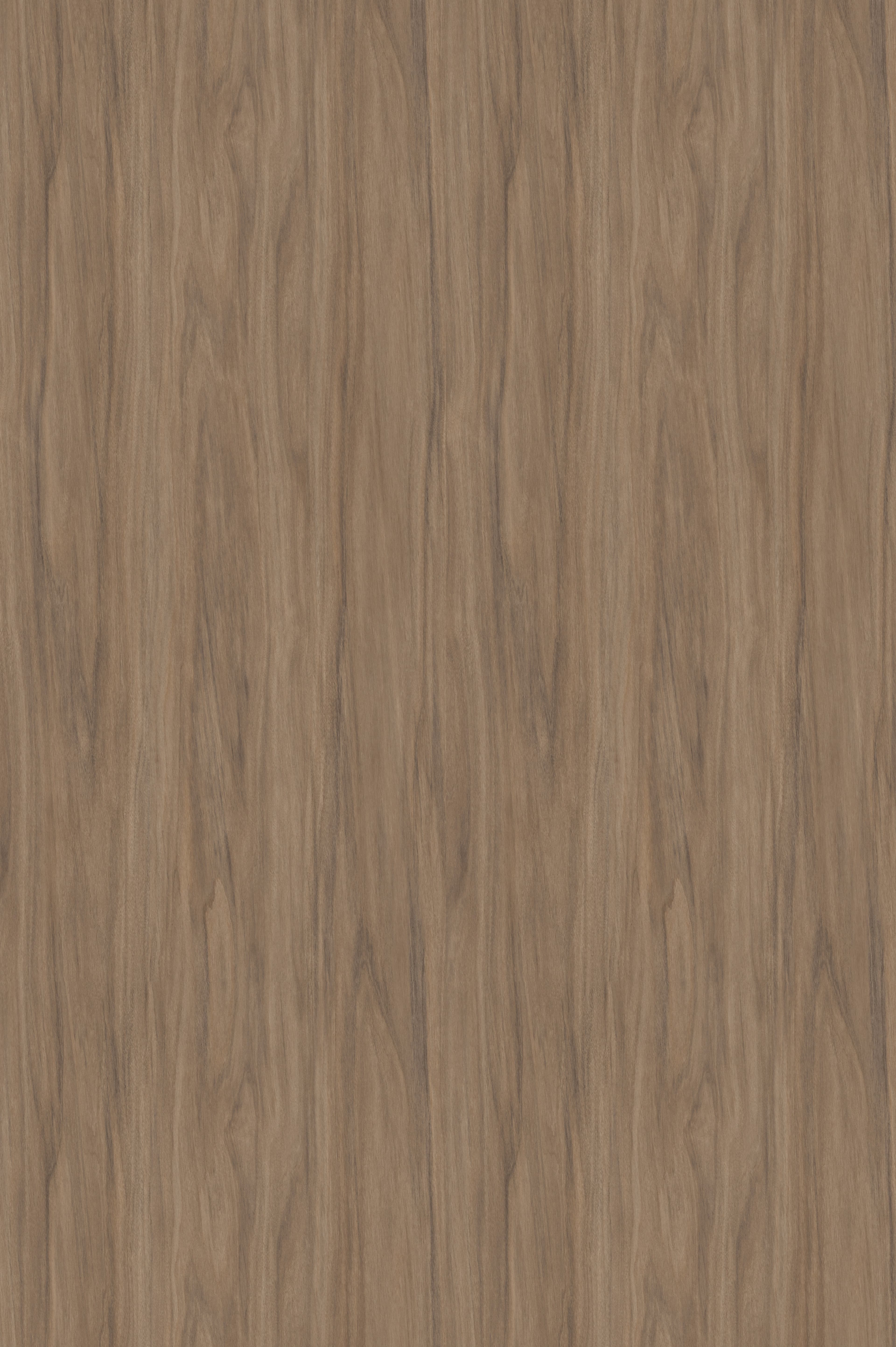 заглушки самоклеющиеся d-14 Афелия 101172W (20 шт)