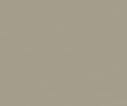 16мм ЛДСП 2750*1830 УД 4 группа - Трюфель (NEW)