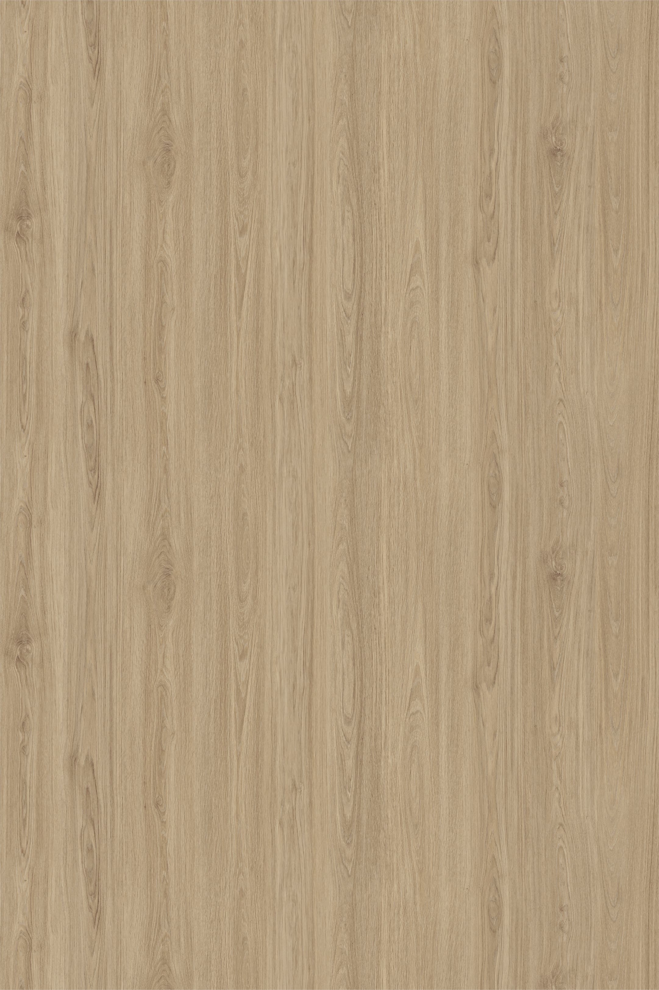 заглушки самоклеющиеся d-20 альберо 101004W