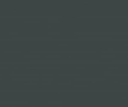 Кромка (УДХ) 0,9x19 мм Монстера (Ш)